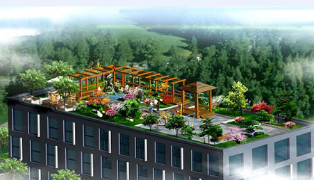 屋頂花園實(shí)景圖2